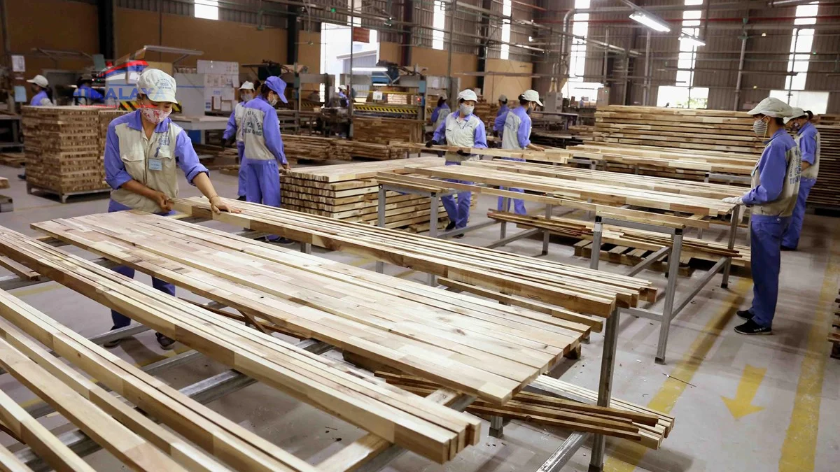 Thanh Hóa Dự án Nhà máy Sản xuất chế biến gỗ ghép thanh và các sản phẩm về gỗ 203 tỷ