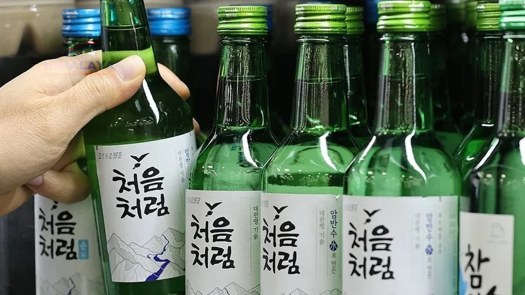 Dự án nhà máy rượu Soju